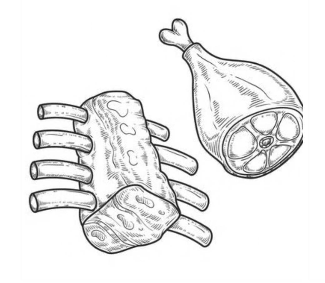 Knochen/Knorpel